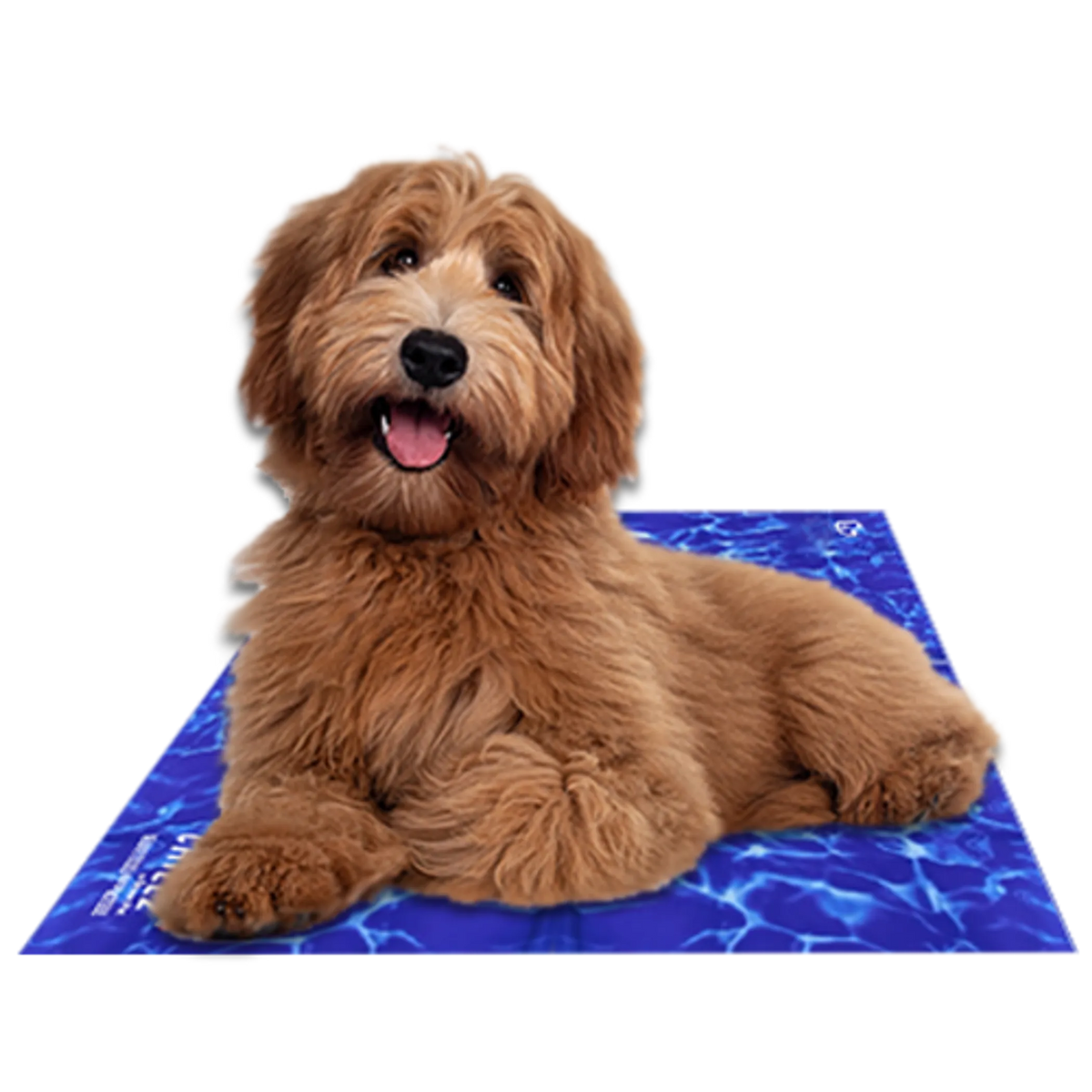 Warm-Weather Travel Mat
