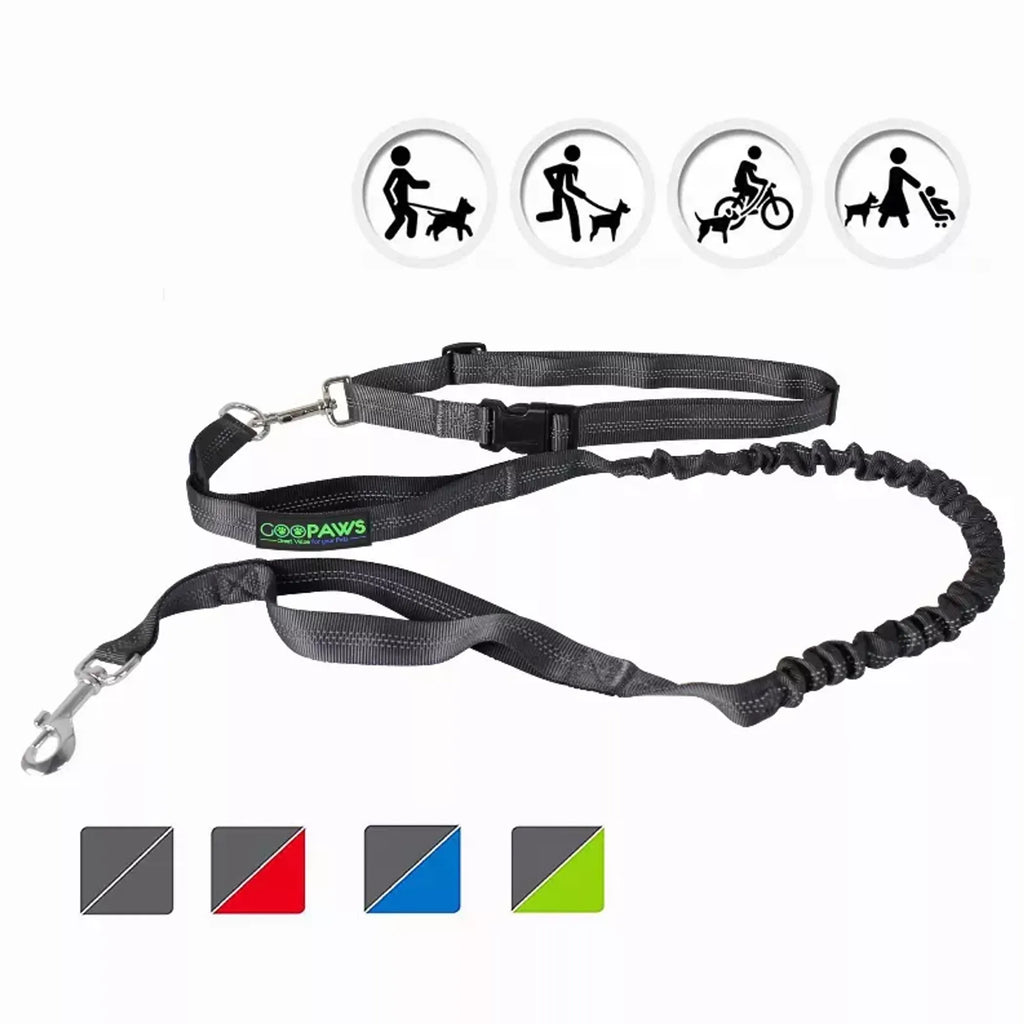 Trail Loop Hands-Free Leash