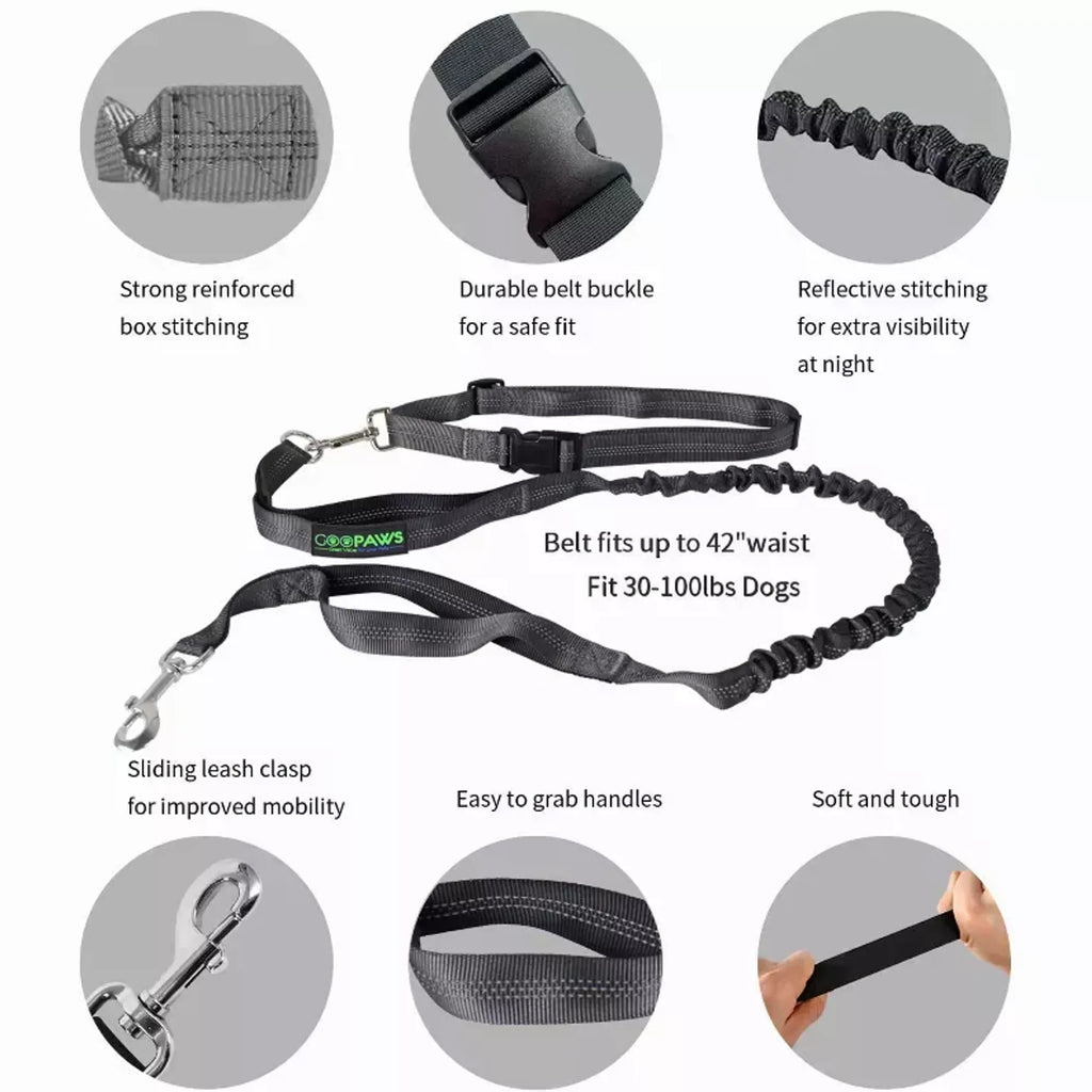 Trail Loop Hands-Free Leash