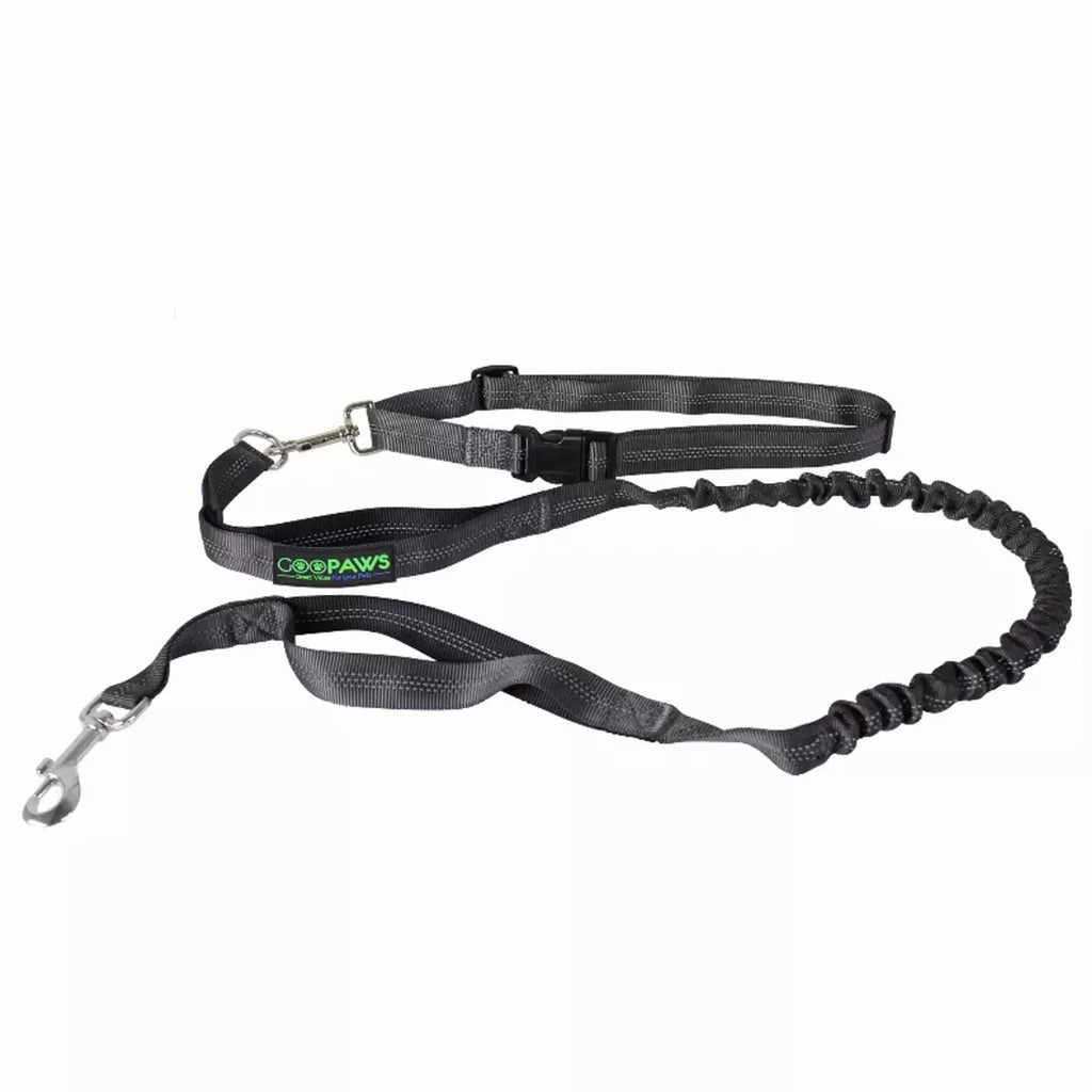 Trail Loop Hands-Free Leash