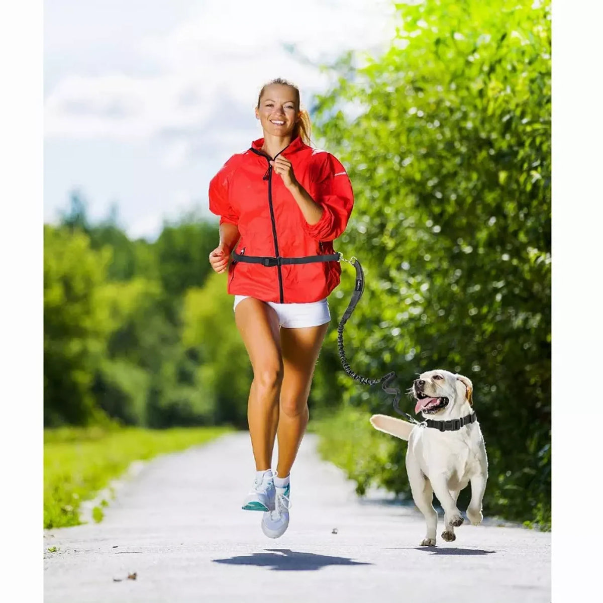Trail Loop Hands-Free Leash