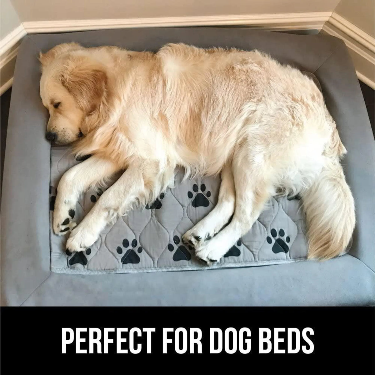 Carrier Comfort Mat Trio
