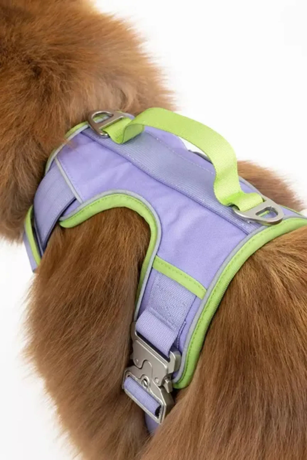 Lavender Trail Dog Harness