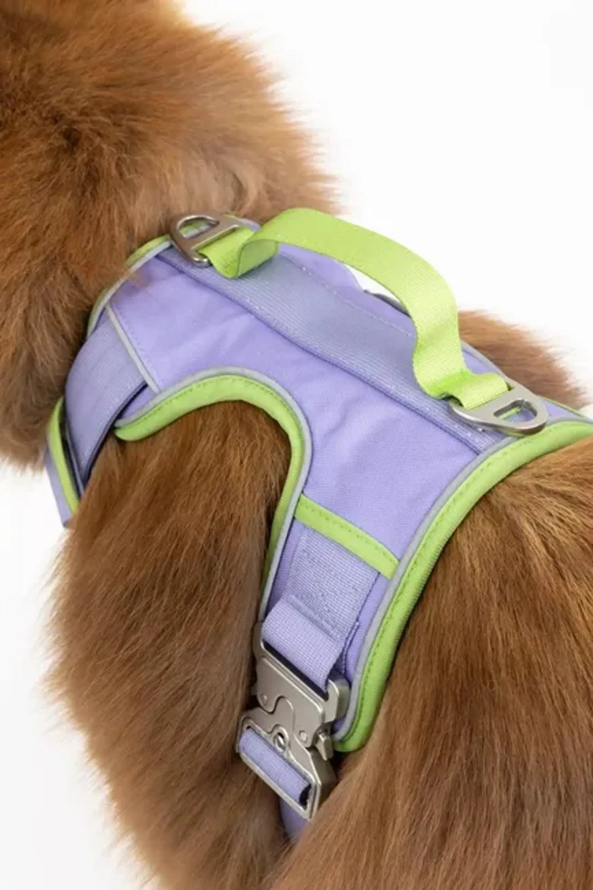Lavender Trail Dog Harness