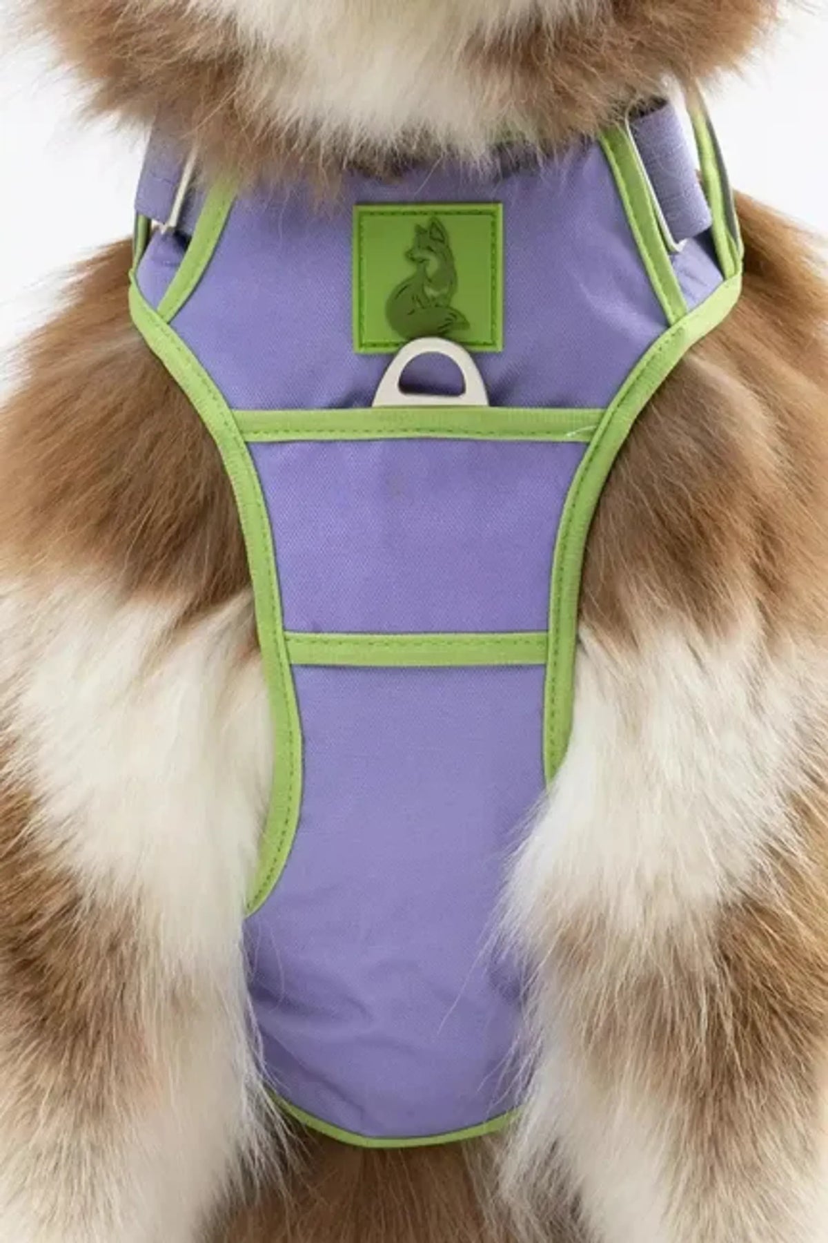 Lavender Trail Dog Harness