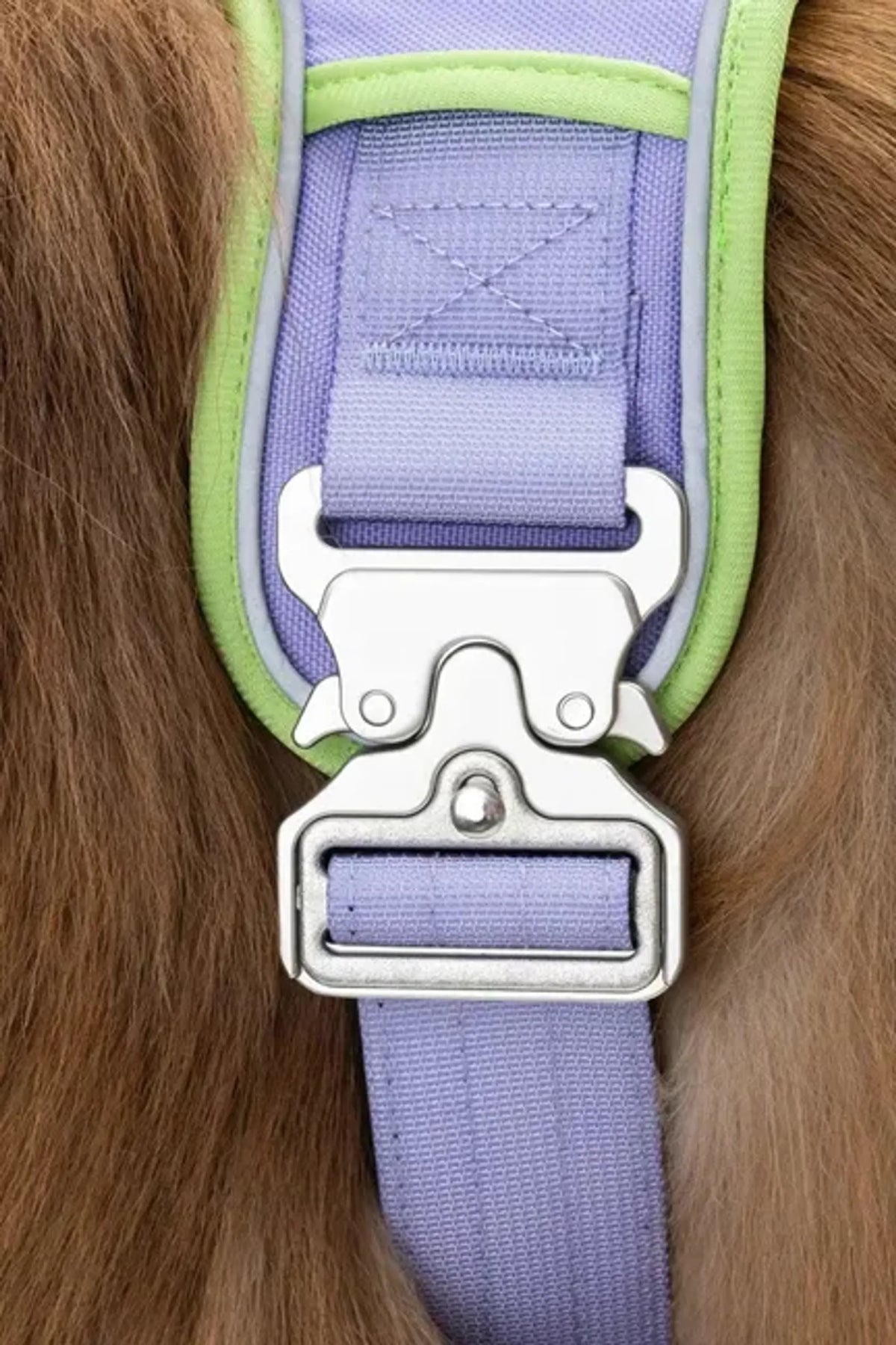 Lavender Trail Dog Harness