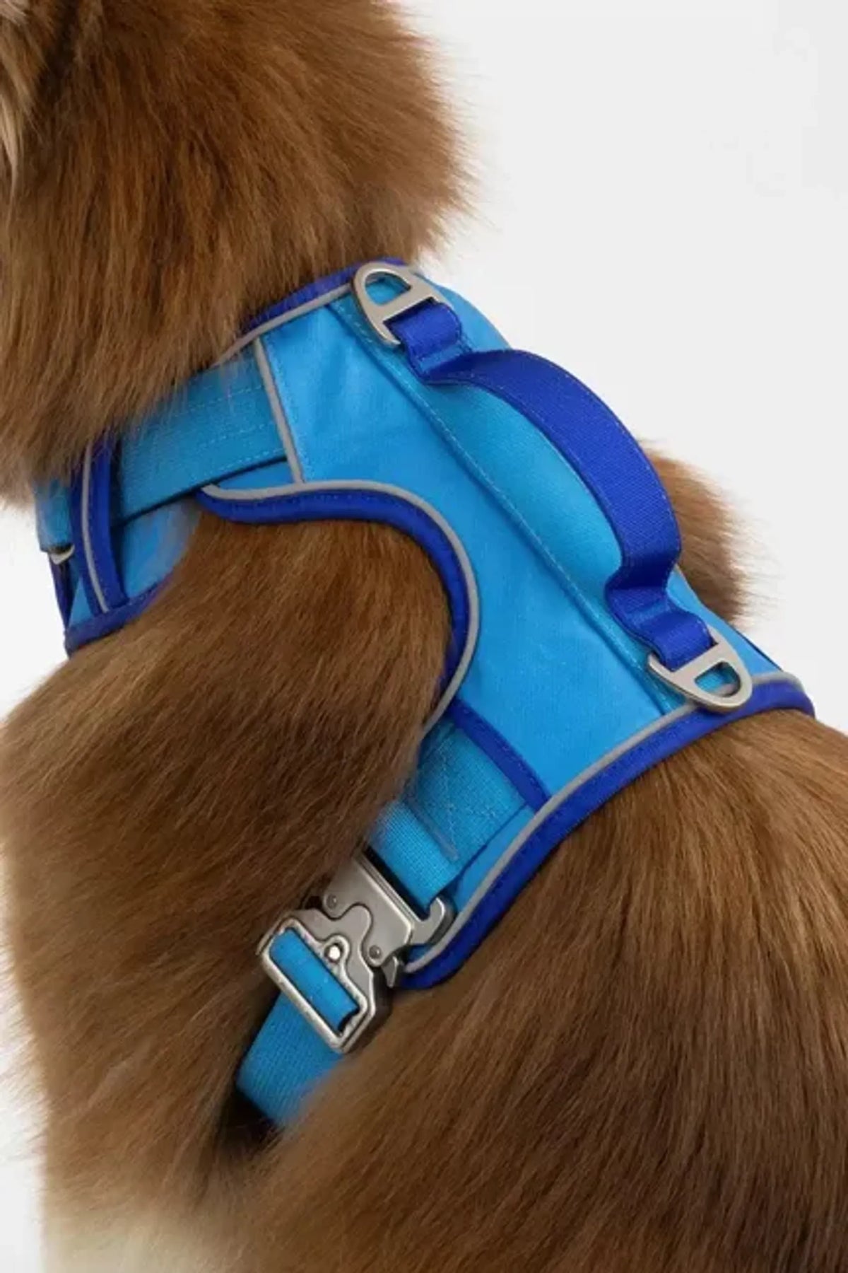 Dockside Adventure Harness