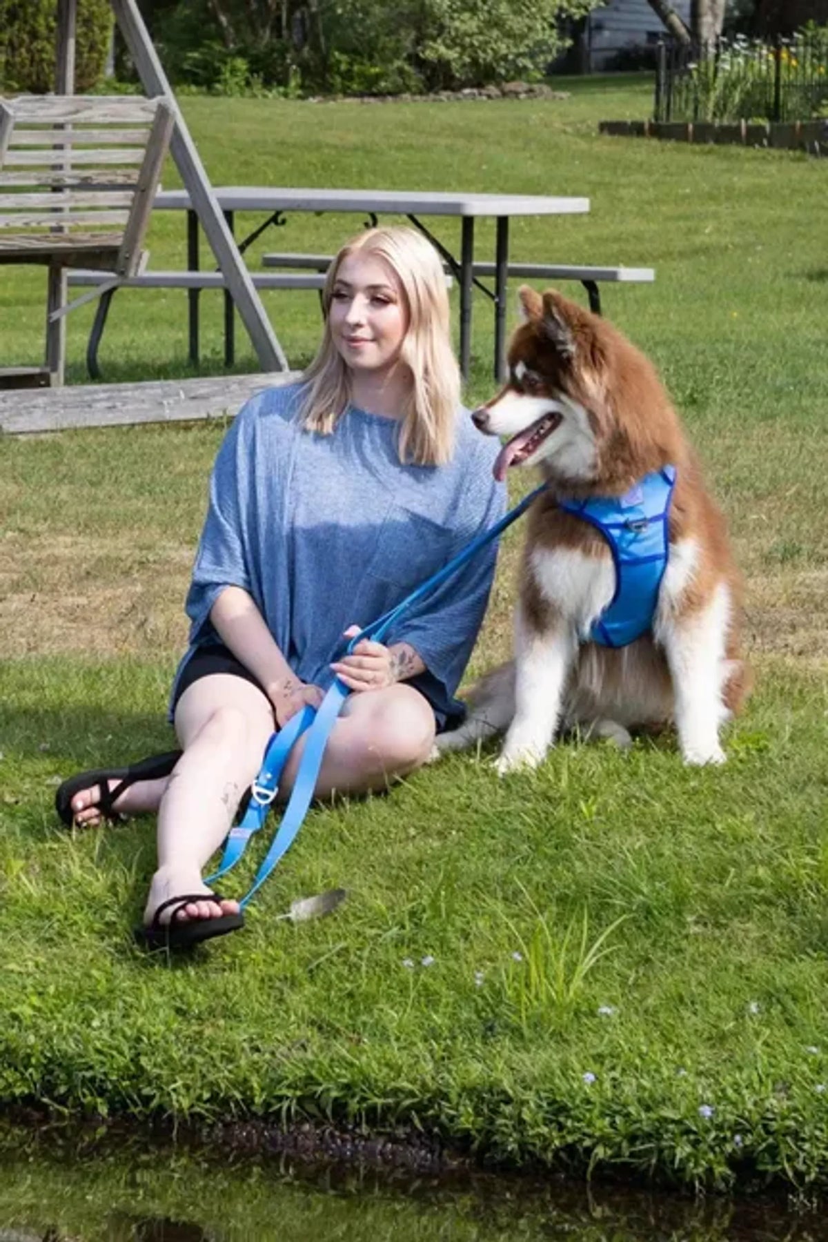 Dockside Adventure Harness