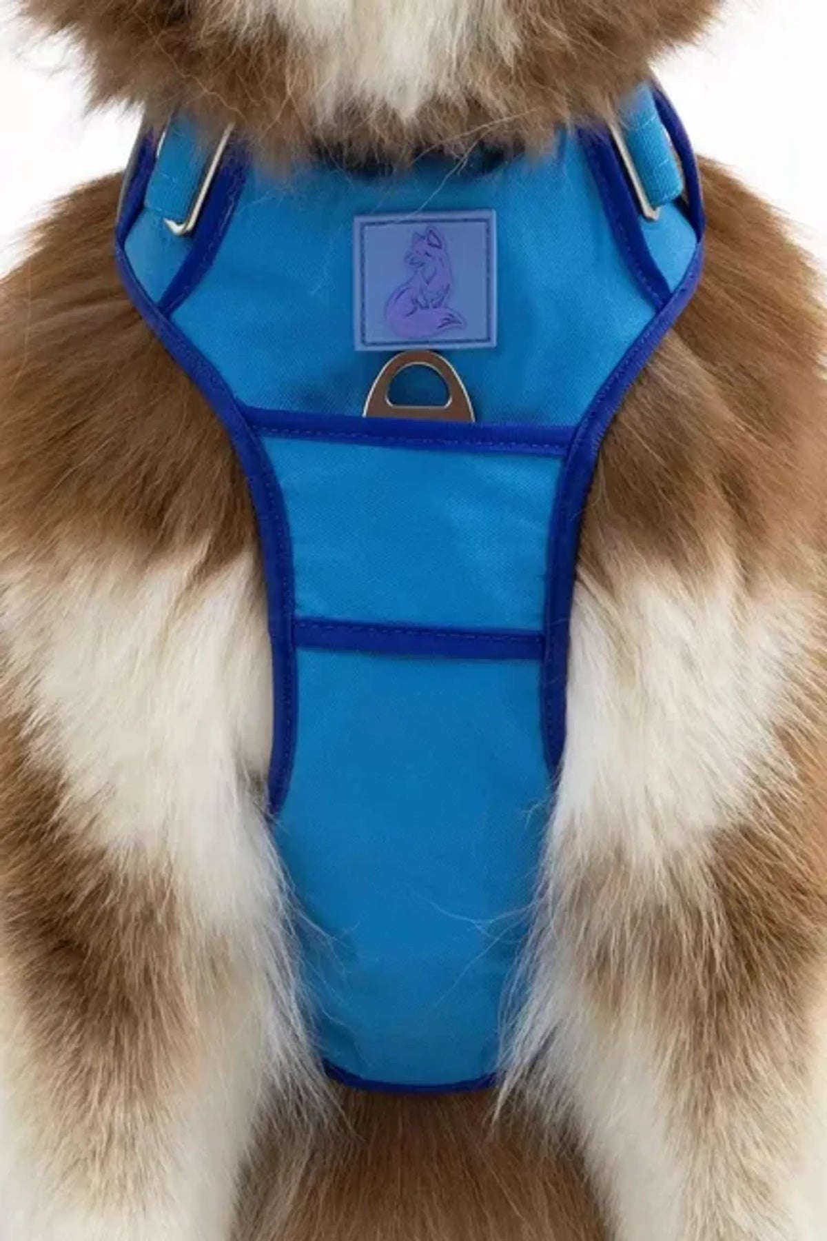 Dockside Adventure Harness