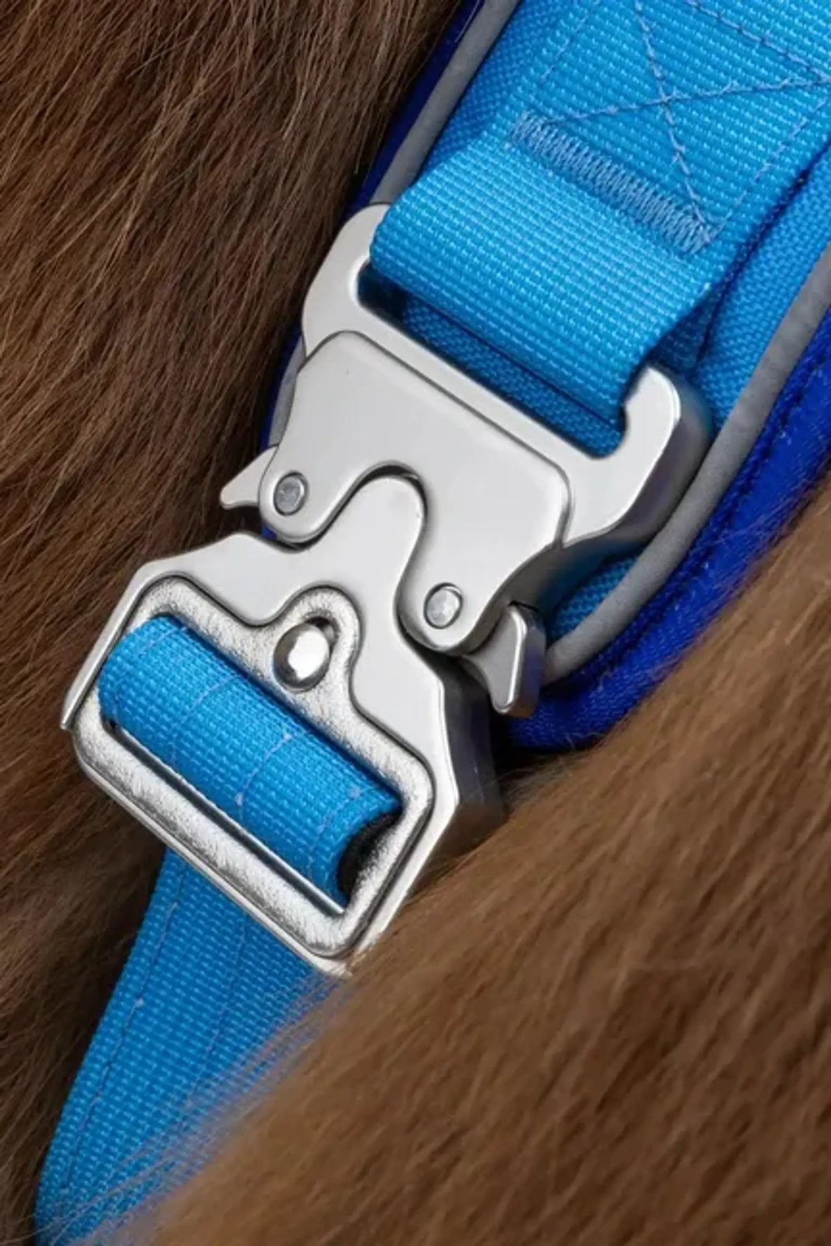 Dockside Adventure Harness