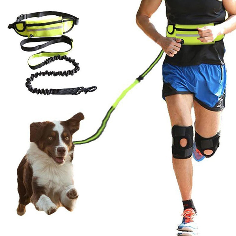 Trail Loop Hands-Free Dog Leash Belt