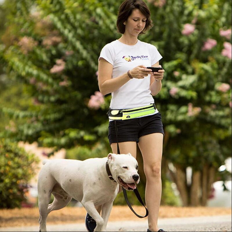Trail Loop hands-free dog leash belt