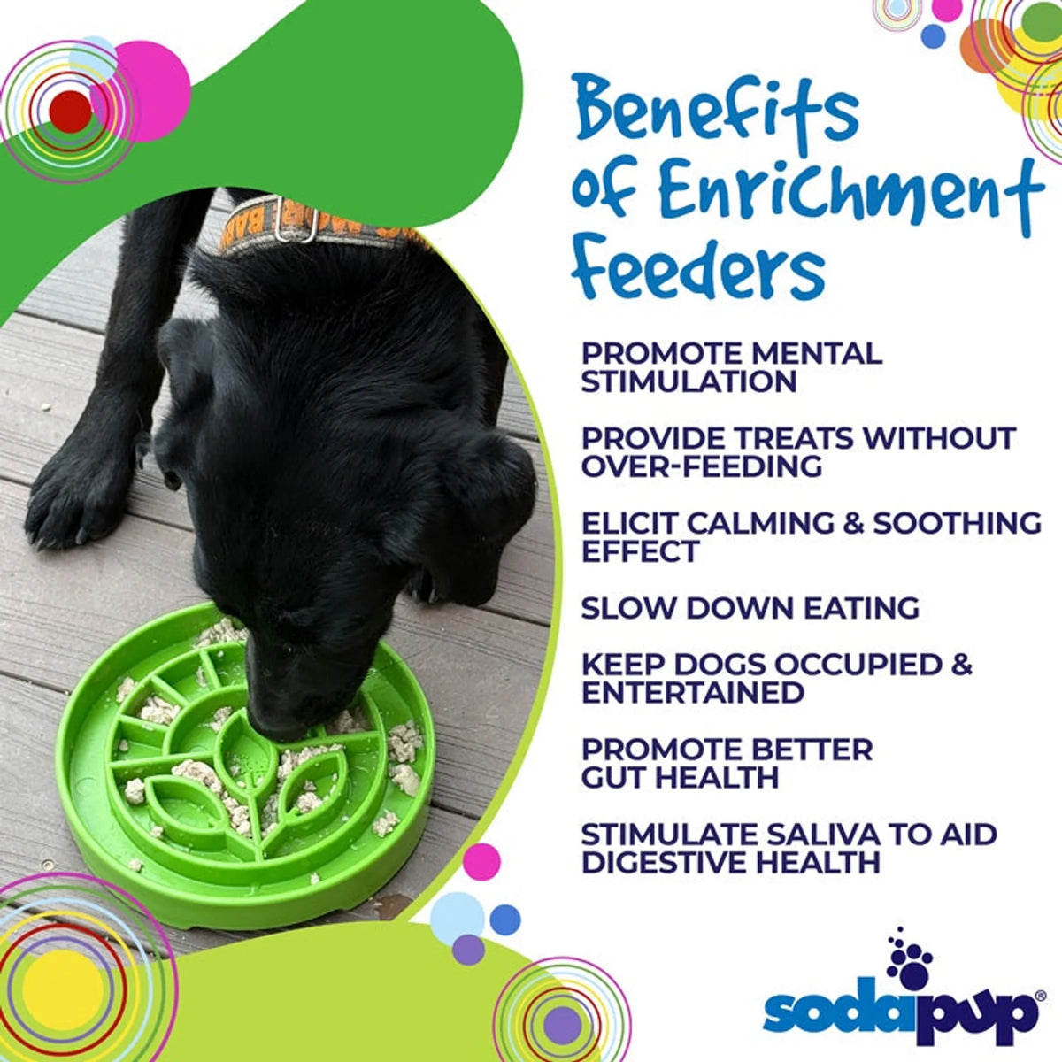 Garden Travel Enrichment Tray