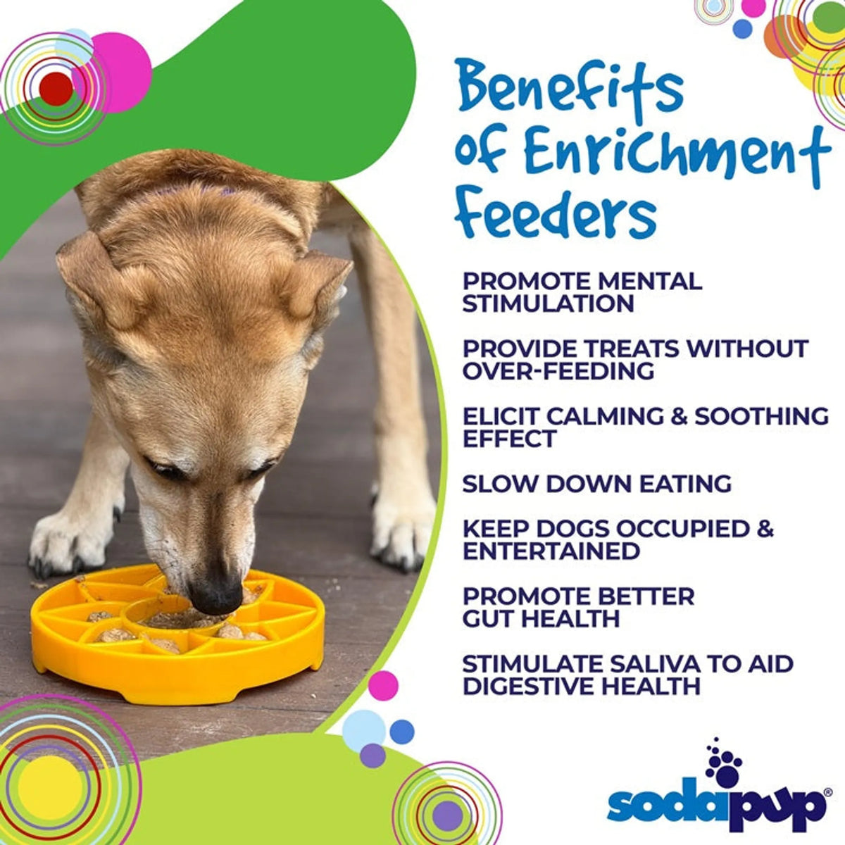 Sunflower Travel Enrichment Tray