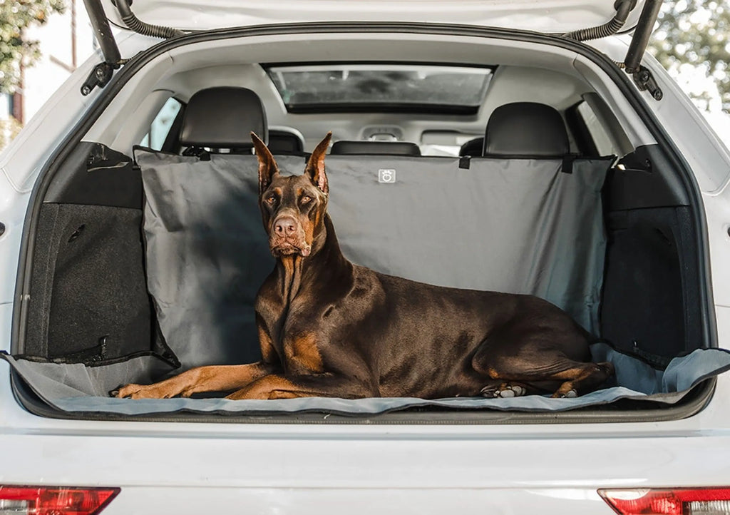 Trailshield Cargo Cover