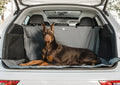 Trailshield Cargo Cover