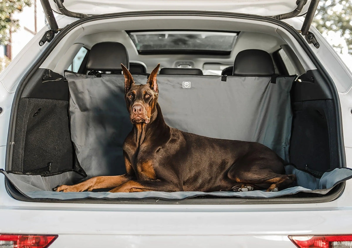 Trailshield Cargo Cover