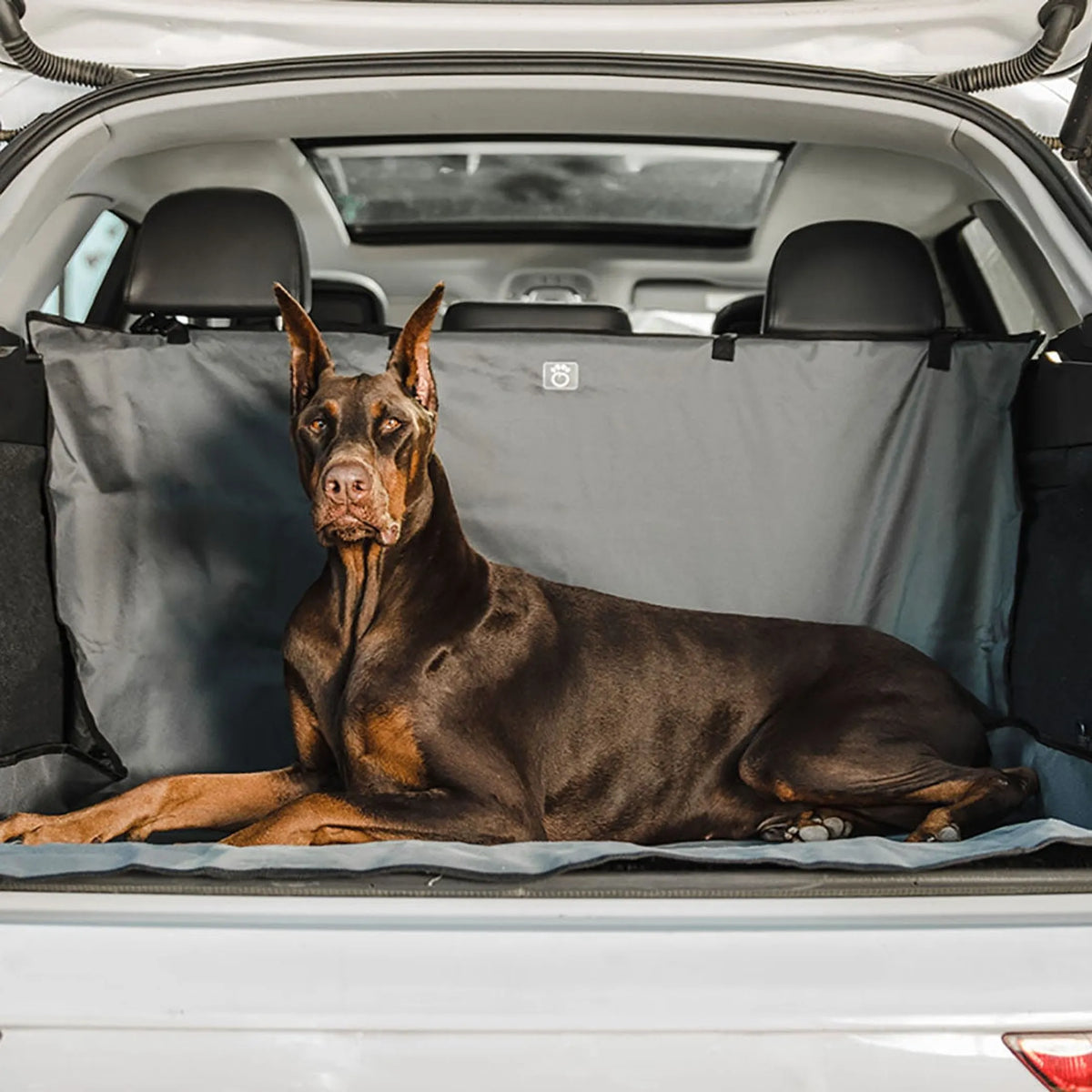 Trailshield Cargo Cover