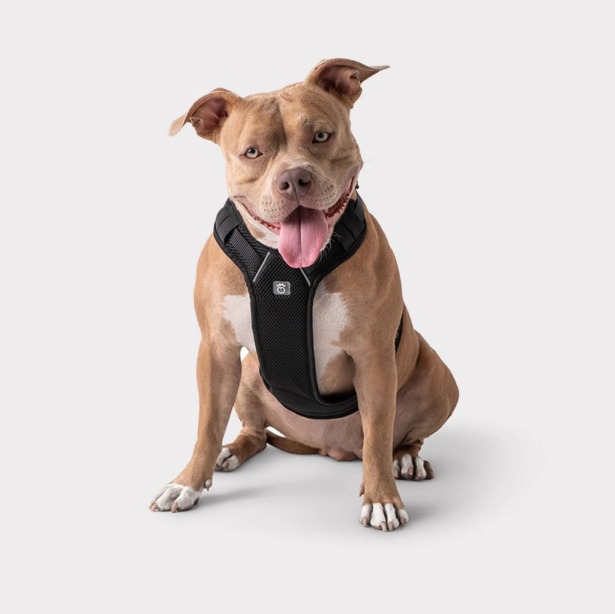 Roadworthy Travel Harness