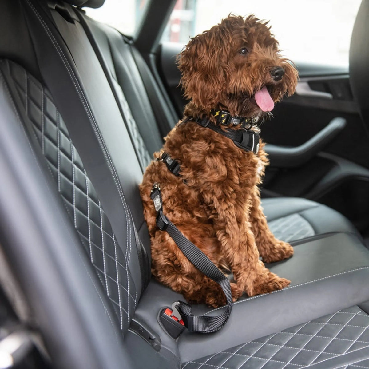 Backseat Connection Tether