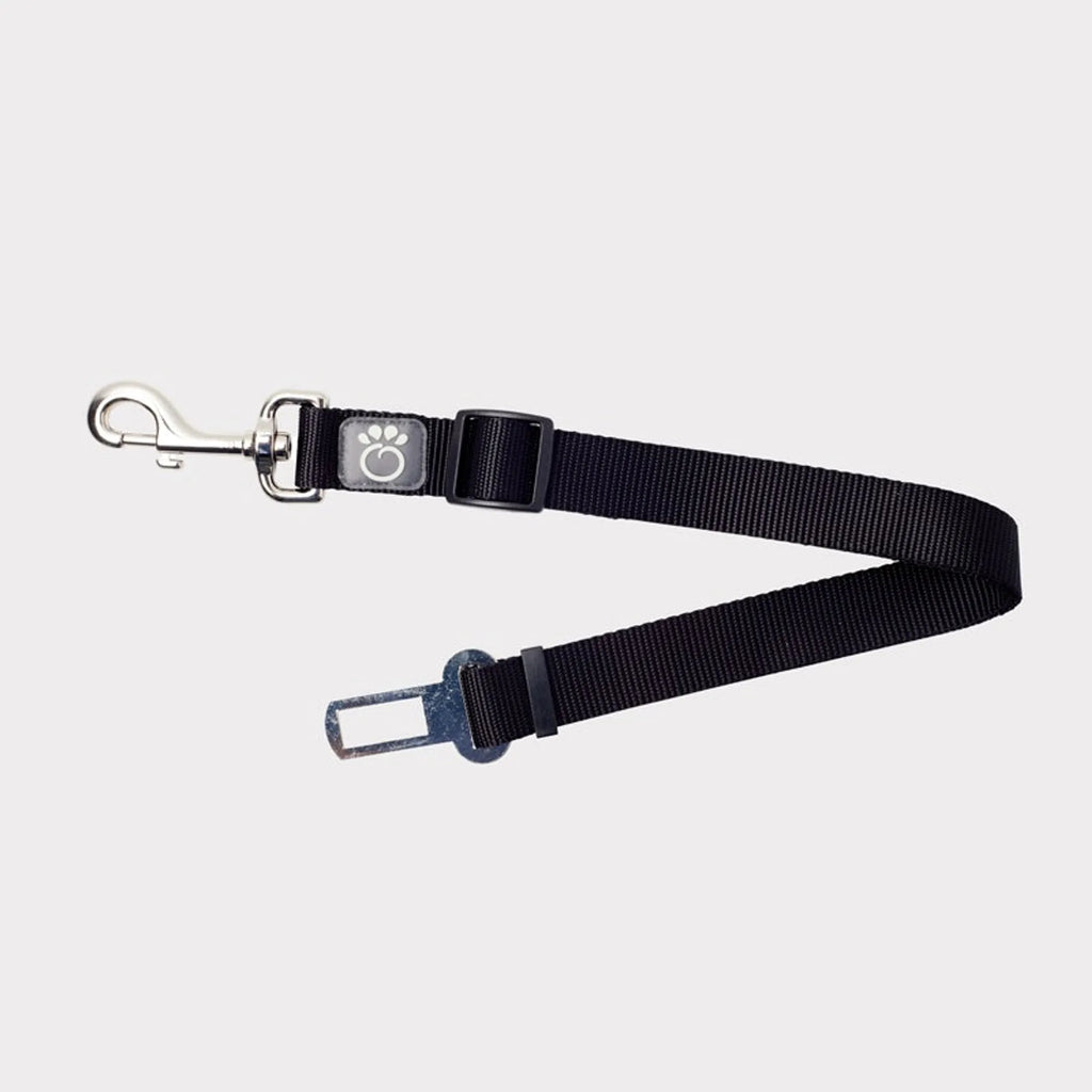 Backseat Connection Tether