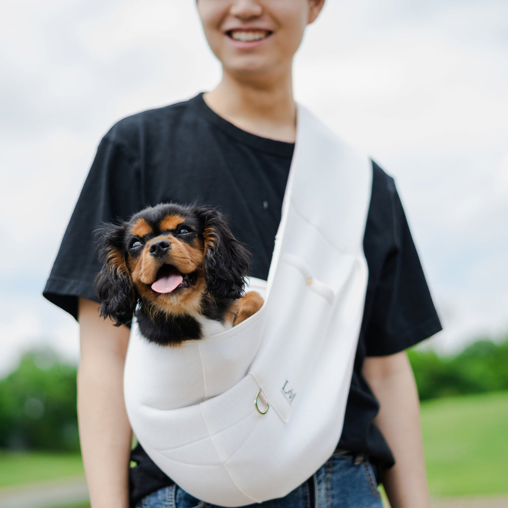 Wayfarer Neoprene Dog Sling