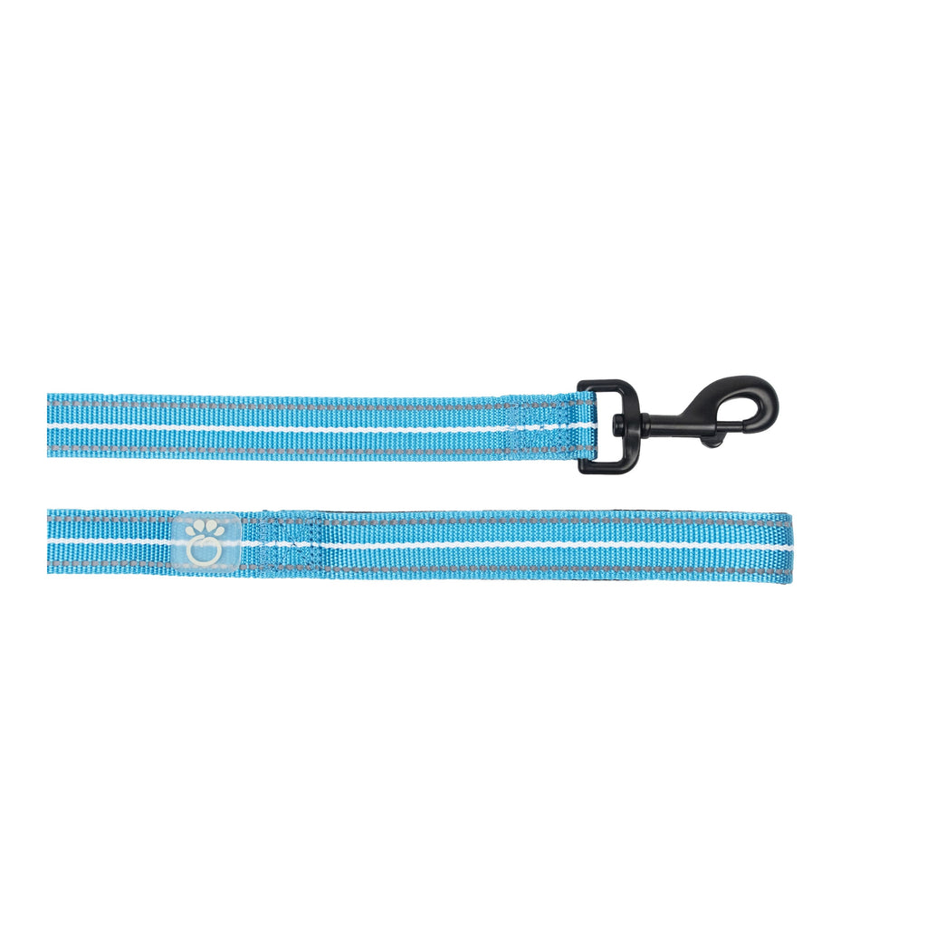 Duskline reflective dog leash in neon blue