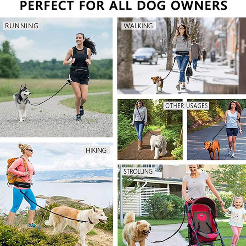 Trail Loop Hands-Free Dog Leash Belt