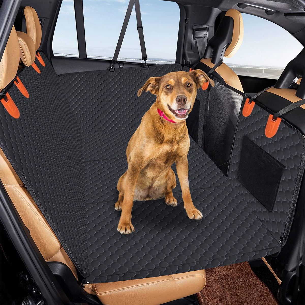 Backroad Bridge Dog Car Cover