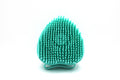 Rinse and Roam shampoo-dispensing dog bath brush